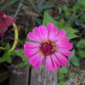 Meet your Posher, Michaela